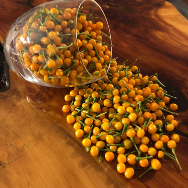 Aji Charapita - Seeds - The Pepper Pantry (Formerly Marie Sharp's)